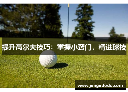 提升高尔夫技巧：掌握小窍门，精进球技