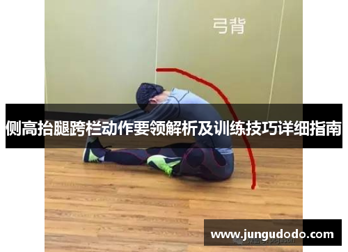侧高抬腿跨栏动作要领解析及训练技巧详细指南