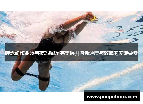 蛙泳动作要领与技巧解析 完美提升游泳速度与效率的关键要素