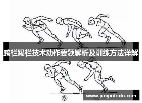 跨栏踢栏技术动作要领解析及训练方法详解