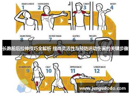 长跑前后拉伸技巧全解析 提高灵活性与预防运动伤害的关键步骤